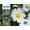 Tusz epson [T1806] cmyk multipack oryginalny